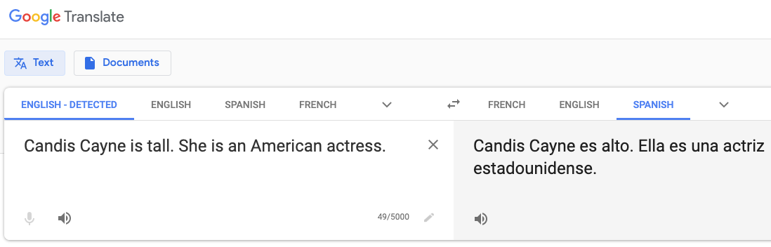 google_translate_misgender